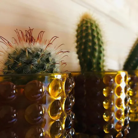 5 Apartamento Zandvoort