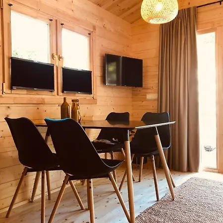 Apartment 5