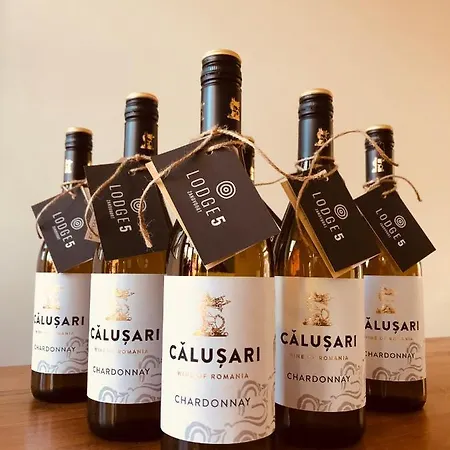 5 Διαμέρισμα *