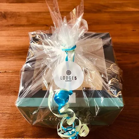 5 Апартаменты Зандфорт