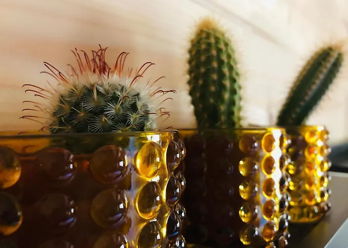 5 Apartment Zandvoort