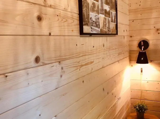 5 Apartment Zandvoort